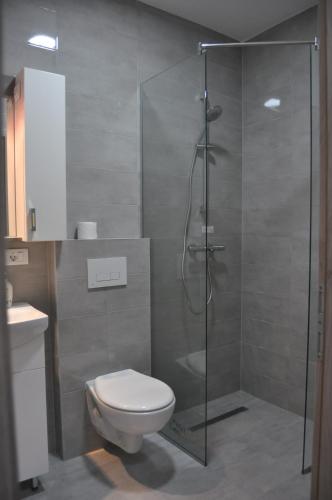 a bathroom with a shower with a toilet and a sink at Studio Sophia in Ohrid