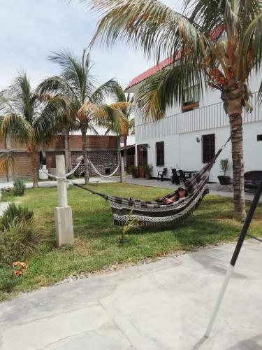 a hammock in front of a house with palm trees at La Arteza Pacasmayo in Pacasmayo