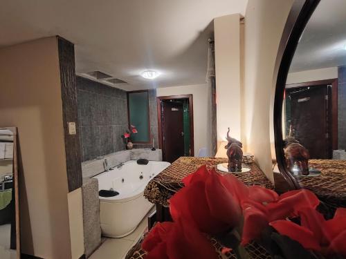 a bathroom with a tub and a large mirror at TURI Suite con Jacuzzi, centro de la ciudad in Baños
