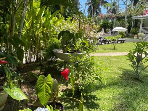 a garden with plants and a bird bath in the grass at Plantation House in Hikkaduwa
