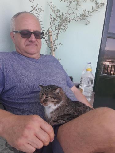 a man sitting in a chair holding a cat at Hellas Palace Rooms CENTER in Sparti