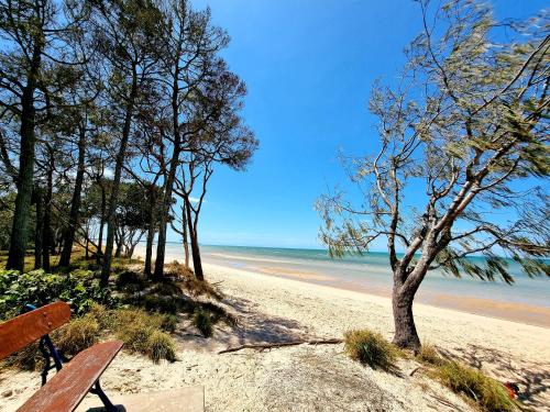 a bench on a beach with trees and the ocean at Seaside holiday house in Burrum Heads