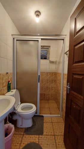 a bathroom with a shower and a toilet and a sink at Furnished Homes Nakuru with pool & GYM in Nakuru