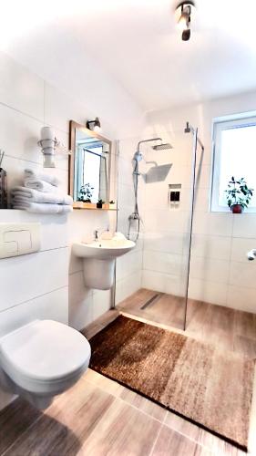 W łazience znajduje się toaleta, umywalka i prysznic. w obiekcie Apartament Comfort Primaverii w mieście Râșnov