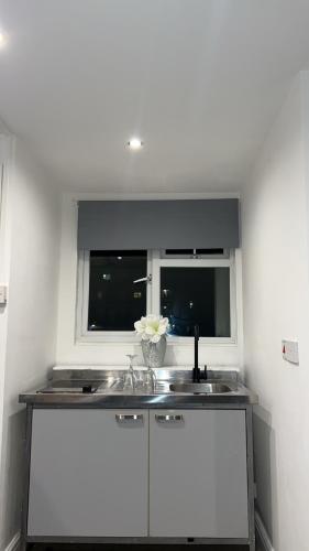 kuchnia ze zlewem i oknem w obiekcie Sunrise Retreat w Londynie