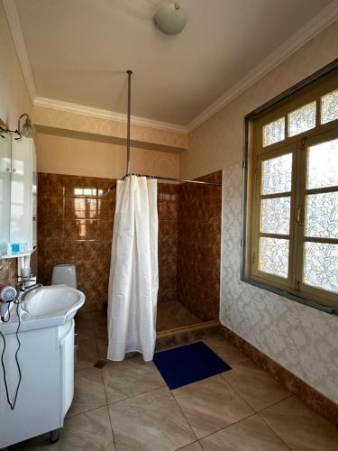 a bathroom with a shower and a sink at Luca in Tbilisi City