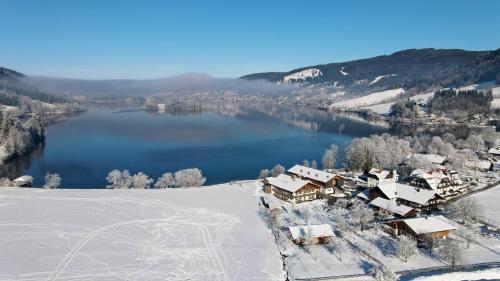 an aerial view of a resort in the snow with a lake at Der Anderlbauer am See in Schliersee