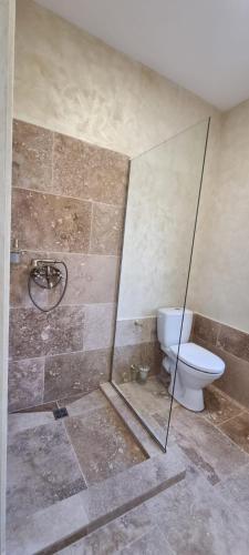 a bathroom with a toilet and a glass shower stall at DNT HOUSE 2 in Craiova