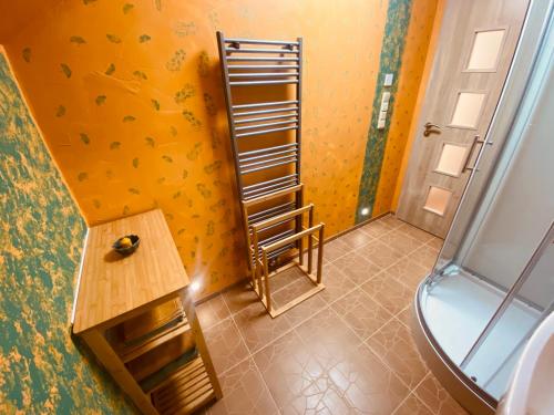 uma casa de banho com uma escada ao lado de um chuveiro em Pyramida & Sauna Relax Guest House em Zďár nad Sázavou