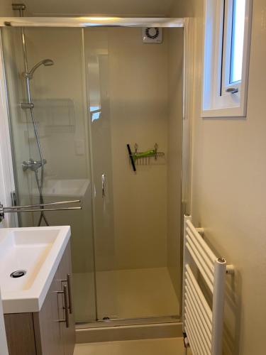 una ducha con una puerta de cristal junto a un lavabo en Meerchalets en Biggekerke