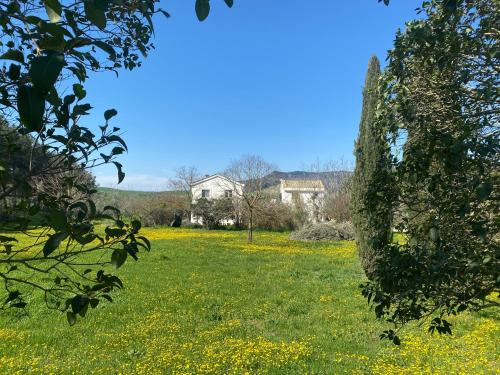 a field of yellow flowers with a house in the background at Agriturismo Colle Igino in Matera