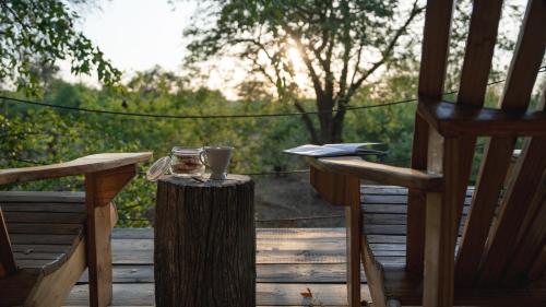 a wooden table with a drink and a book on a tree stump at Mashatu Lodge in Lentswelemoriti