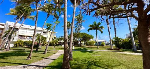 un parque con palmeras frente a un edificio en L'HIBISCUS rénové Sept 2025, en Saint-François