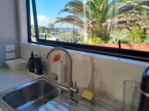 a kitchen sink with a view of a palm tree at The Tiny Abode in Snells Beach