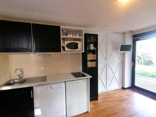 a kitchen with a sink and a microwave at Le Chamroussien - Appartement 1700 in Chamrousse