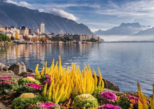 a view of a city and the water with flowers at Studio 5 places à deux pas du Lac in Territet