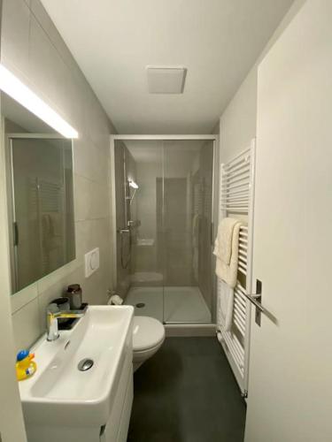 La salle de bains blanche est pourvue d'un lavabo et d'une douche. dans l'établissement Charmante Altstadtwohnung 2 OG, à Soleure