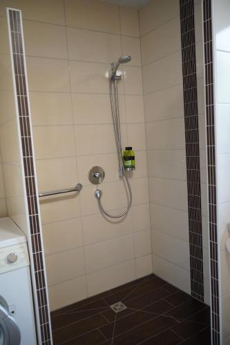 a shower in a bathroom with a glass door at PureNature Appartement in Obersontheim