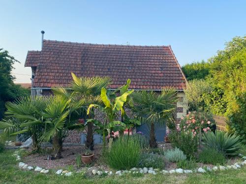 a garden with palm trees and plants in front of a house at La Maison Angèle in Caisnes