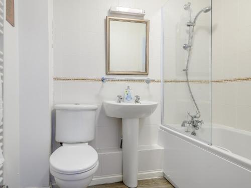 a bathroom with a toilet and a sink and a shower at 3 Bed in Brixham BX050 in Galmpton-on-the-Dart