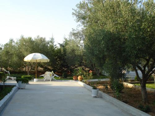 a walkway with an umbrella in a garden at COUNTRY HOUSE IN OLIVE GROVE (2 ) - GERAKINI in Gerakini