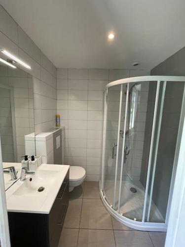 une salle de bain avec une douche, un lavabo et des toilettes dans l'établissement Quartier calme : T2 plain pied avec son jardin, à Argelès-Gazost