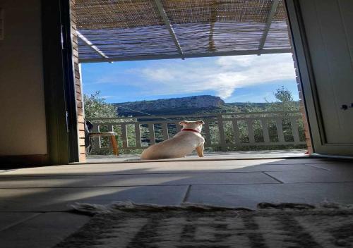 a dog sitting in front of an open door at Elaia Rest House Retreat in nature in Fréngaina