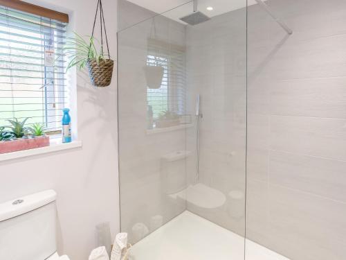 a white bathroom with a shower and a toilet at 2 Bed in Stanton-by-Bridge 78581 