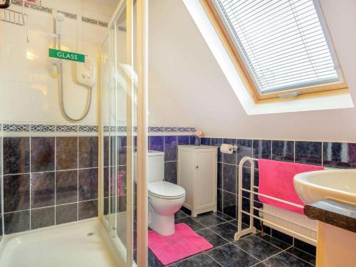 a bathroom with a toilet and a sink and a shower at 1 Bed in Brecon BN015 in Brecon