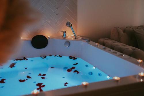 a tub with fish swimming in it in a living room at Luxury Jacuzzi Apartment in Mostar