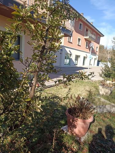 a tree in a yard next to a house at open in Potenza