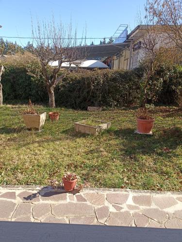 a yard with three potted plants on the grass at open in Potenza