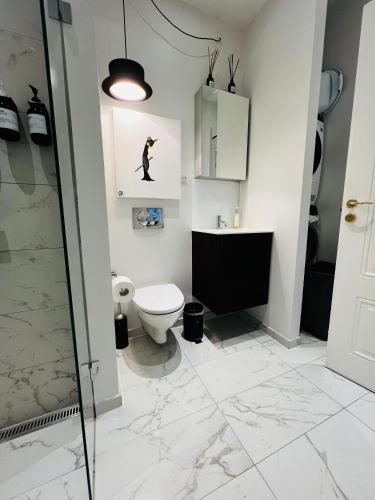a bathroom with a toilet and a shower at Camillas Holiday home Copenhagen City Centre in Copenhagen