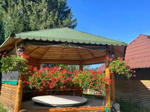 Κήπος έξω από το Cabana Craiu Garana