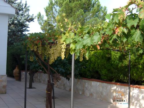 dimora del sole e del vento – Photos 4