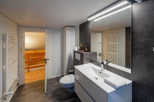 a bathroom with a sink and a toilet and a mirror at Day Dream Central Akureyri Three Bedroom Apt in Akureyri