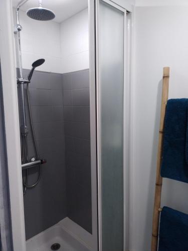 une douche avec une porte vitrée dans une salle de bain dans l'établissement Ty Nid, à Ploemel