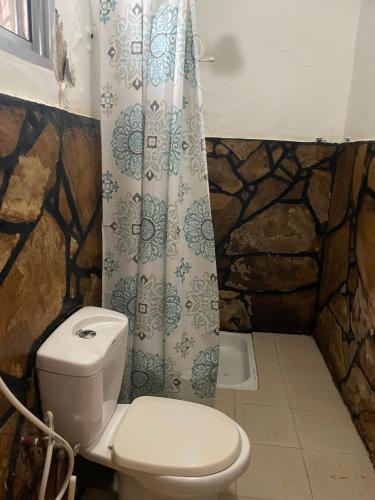 a bathroom with a toilet and a shower curtain at Home Feeling Neneu Lodge in Moshi