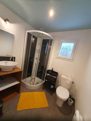 une salle de bain avec une douche, des toilettes et un lavabo dans l'établissement Gîte Le Chardonneret 2 étoiles 4 personnes, Jugon les lacs, Côtes d'armor, à Saint-Igneuc