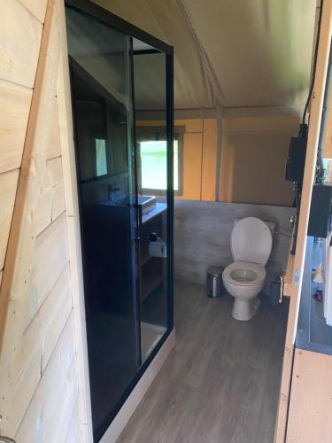 a bathroom with a toilet in a tiny house at Luxe safaritent aan het water in Hommerts