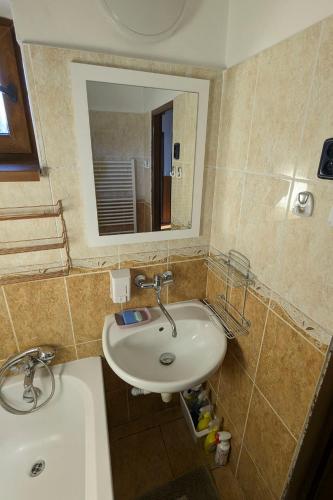 a bathroom with a sink and a mirror at Vila Imagina in Ratboř