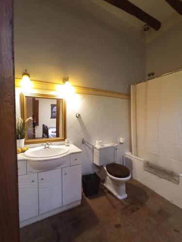 a bathroom with a toilet and a sink and a mirror at Ca l'Aleixa Rooms in Bisbal de Falset