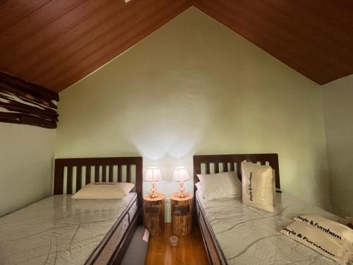 duas camas num quarto com duas lâmpadas em The Forest Creek Cabin 