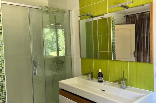 La salle de bains est pourvue d'un lavabo et d'une douche en verre. dans l'établissement Maison familiale avec piscine, à Verneuil-sur-Vienne