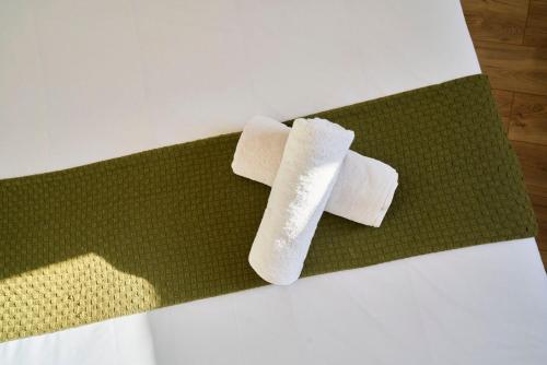 dos rollos de papel higiénico sobre una alfombra verde en Bright apartment in hypercenter with parking, en Tourcoing