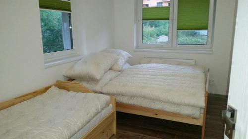 2 Betten in einem Zimmer mit 2 Fenstern in der Unterkunft Apartmánový domček Michal in Oravská Lesná