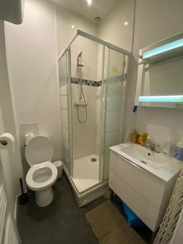 W łazience znajduje się prysznic, toaleta i umywalka. w obiekcie Studio cosy à Dunkerque w mieście Dunkierka