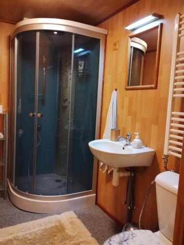 a bathroom with a shower and a sink at Prázova Bouda in Dobré