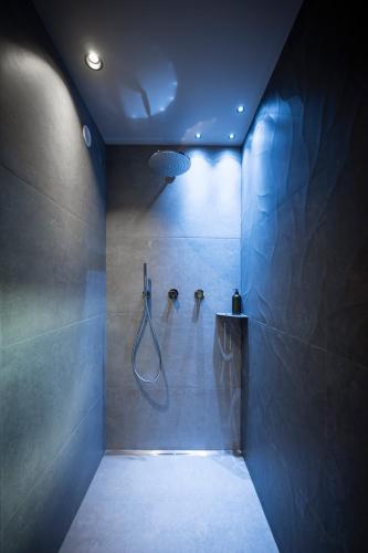 a bathroom with a shower with a blue ceiling at Hotel Viertler in Avelengo