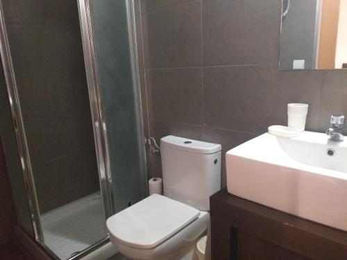 La salle de bains est pourvue de toilettes, d'un lavabo et d'une douche. dans l'établissement Apartamentos La Pergola Castellón, Castellón de la Plana